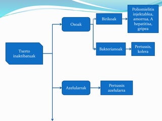 Txerto
inaktibatuak
Azelularrak
Osoak
Birikoak
Bakterianoak
Poliomielitis
injektablea,
amorrua, A
hepatitisa,
gripea
Pertussis,
kolera
Pertussis
azelularra
 