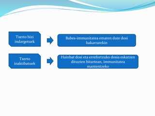 Txerto bizi
indargetuek
Babes-immunitatea ematen dute dosi
bakarrarekin
Txerto
inaktibatuek
Hainbat dosi eta errefortzuko dosia eskatzen
dituzten bitartean, immunitatea
mantentzeko
 