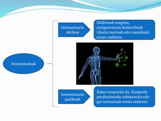 Immunitateak
Immunizazio
pasiboak
Immunizazio
aktiboa
Defentsak eragitea,
antigenomota desberdinak
(direla txertoak edo toxoideak)
eman ondoren.
Babes tenporala da. Kanpotik
produzitutako substantzia edo
gai immuneak eman ondoren
 