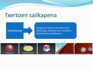 Txertoen sailkapena
Inaktibatuak
Antigenoa (birusa edo bakterioa)
hilda dago, kimikoki edo termikoki
(beroarekin) inaktibatuta
 