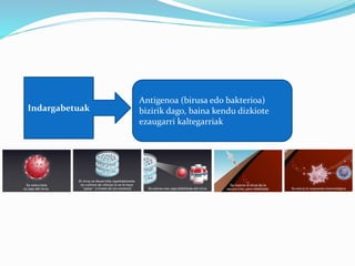 Indargabetuak
Antigenoa (birusa edo bakterioa)
bizirik dago, baina kendu dizkiote
ezaugarri kaltegarriak
 