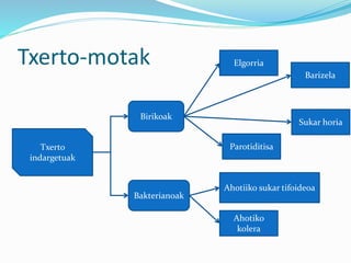 Txerto-motak
Txerto
indargetuak
Birikoak
Bakterianoak
Parotiditisa
Barizela
Sukar horia
Elgorria
Ahotiiko sukar tifoideoa
Ahotiko
kolera
 
