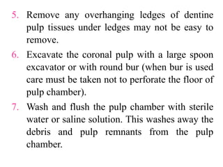 5. Remove any overhanging ledges of dentine
pulp tissues under ledges may not be easy to
remove.
6. Excavate the coronal pulp with a large spoon
excavator or with round bur (when bur is used
care must be taken not to perforate the floor of
pulp chamber).
7. Wash and flush the pulp chamber with sterile
water or saline solution. This washes away the
debris and pulp remnants from the pulp
chamber.
 