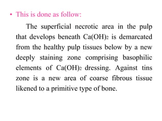 • This is done as follow:
The superficial necrotic area in the pulp
that develops beneath Ca(OH)2 is demarcated
from the healthy pulp tissues below by a new
deeply staining zone comprising basophilic
elements of Ca(OH)2 dressing. Against tins
zone is a new area of coarse fibrous tissue
likened to a primitive type of bone.
 