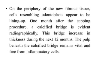 • On the periphery of the new fibrous tissue,
cells resembling odontoblasts appear to be
lining-up. One month after the capping
procedure, a calcified bridge is evident
radiographically. This bridge increase in
thickness during the next 12 months. The pulp
beneath the calcified bridge remains vital and
free from inflammatory cells.
 