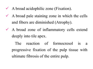  A broad acidophilic zone (Fixation).
 A broad pale staining zone in which the cells
and fibers are diminished (Atrophy).
 A broad zone of inflammatory cells extend
deeply into tile apex.
The reaction of formocresol is a
progressive fixation of the pulp tissue with
ultimate fibrosis of the entire pulp.
 