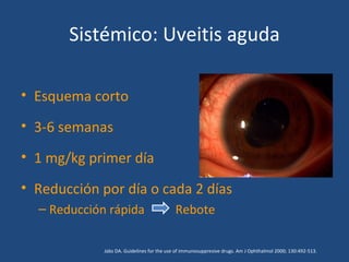 Sistémico: Uveitis aguda

• Esquema corto
• 3-6 semanas
• 1 mg/kg primer día
• Reducción por día o cada 2 días
  – Reducción rápida                        Rebote

             Jabs DA. Guidelines for the use of immunosuppresive drugs. Am J Ophthalmol 2000; 130:492-513.
 