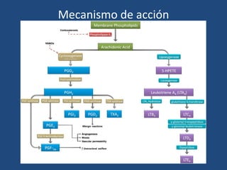 Mecanismo de acción
 