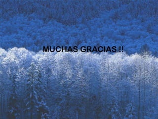 Se obtiene una respuesta inmediata, con cualquier duda.