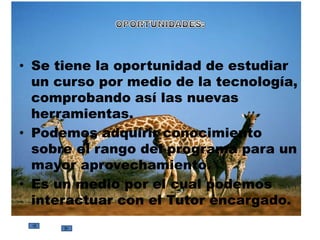 Mucha de la información que trae es precisa y concisa para un mayor uso y la atención del  profesor es muy amena.