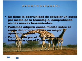 Se tiene la oportunidad de estudiar un curso por medio de la tecnología, comprobando así las nuevas herramientas. Podemos adquirir conocimiento sobre el rango del programa para un mayor aprovechamiento. Es un medio por el cual podemos interactuar con el Tutor encargado. 