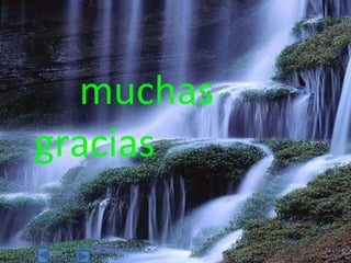 muchas gracias 