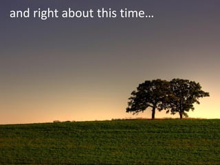 Usability in the GeoWeb