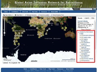 Usability in the GeoWeb
