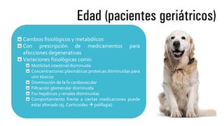 Edad (pacientes geriátricos)
Cambios fisiológicos y metabólicos
Con prescripción de medicamentos para
afecciones degenerativas
Variaciones fisiológicas como:
Motilidad intestinal disminuida
Concentraciones plasmáticas proteícas disminuidas para
unir tóxicos
Disminución de la fx cardiovacular
Filtración glomerular disminuida
Fxs hepáticas y renales disminuidas
Comportamiento frente a ciertas medicaciones puede
estar alterado (ej. Corticoides  polifagia)
 