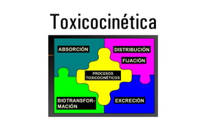 Toxicocinética
 