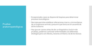 Pruebas
anatomopatológicas
 Excepcionales casos se dispone de biopsias para determinar
procesos toxicológicos
 Necropia permite establecer alteraciones macro y microscópicas
de un organismo animal y presumir qué tóxico es el causante de
dicho trastorno
 Hay que ser cautos antes de dar un diagnóstico (incluir más
pruebas), podemos confundir enfermedades con diferentes
etiologías pero con efectos, lesiones similares a la de los tóxicos
 