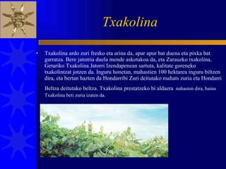 Txakolina Txakolina ardo zuri fresko eta arina da, apar apur bat duena eta pixka bat garratza. Bere jatorria duela mende askotakoa da, eta Zarauzko txakolina, Getariko Txakolina Jatorri Izendapenean sartuta, kalitate goreneko txakolintzat jotzen da. Inguru honetan, mahastien 100 hektarea inguru biltzen dira, eta bertan hazten da Hondarribi Zuri deitutako mahats zuria eta Hondarri Beltza deitutako beltza. Txakolina prestatzeko bi aldaera   nahasten dira, baina Txakolina beti zuria izaten da. 