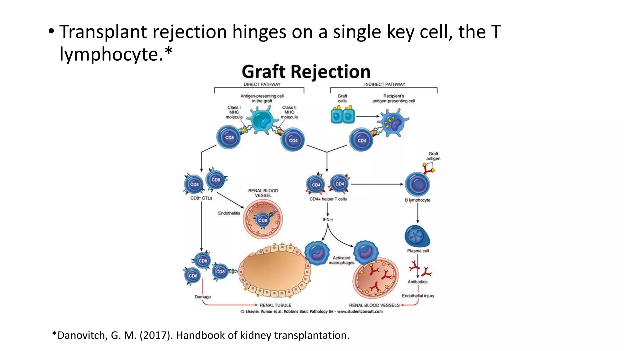 TRANSPLANT IMMUNOLOGY | PPTX