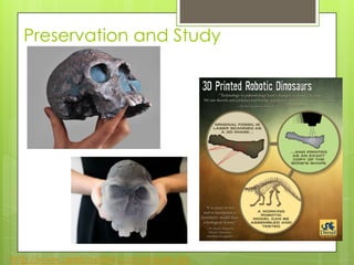 Preservation and Study
http://www.geekosystem.com/staples-3d-
 