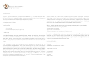 PATOLOGIA FISIKO SENSORIALA
               ENTZUMEN PATOLOGIAK



DESKRIBAPENA

Gortasuna, entzuteko ahalmenaren erredukzioa bezala definitzen dugu. Entzumen gaitasunaren galera,            Aspektu hau arazo bat da helburuak eta aurrerakuntzak egiterako orduan, eta horregatik emanen zaio
partziala (hipoakusia) edo integrala (kofosia) izan daiteke, eta heredentzia bidez, eritasun bezala agertuz   hainbertze garrantzia emozioak, sentimentuak bai komunikatzeko eta baita kontrolatzeko terapia ariketei.
edo kolpe/traumatismo baten ondorioz pairatu dezakegu patologia hau.                                          Terapiek pertsonaren bizitza kalitatea hobetzea izanen dute helburu, adiskidetasuna eta afektutasuna
                                                                                                              bultzatuz, eta gizartean mugituko diren medioan ekintzak gauzatu ahal izateko gaitasunak eta jakintzak
GIZARTERATZE PROGRAMA                                                                                         jasoko dituzte, beti ere bakoitzaren aspekturik indartsuenak are gehiago potentziatuz.

_HARTZAILEAK                                                                                                  Laburtuz, hurrengo baloreak transmititu eta landuko dire pertsona elbarrituen errehabilitazioarako:
                                                                                                              -Kontzeptu baten egituraketa, bere gain positiboa.
     -Gorrak (kofosia)                                                                                        -Taldearenganako estimulazioa.
     -Entzumen maila bajuko pertsonak (hipoakusia)                                                            -Jarrera kritiko-analitiko-kreatiboa.
                                                                                                              -Bilakaera emozionalaren estimulatzea eta motibazio orokorra.
_ZERBITZUAK
                                                                                                              Erran beharrik ez dago, psikologia mailako balore hauez gain balore edo jakintza fisikoak jasoko dituztela
Zentroak entzumenezko patologiak dauzkaten pertsonei eskeiniko dien zerbitzuak, pertsona hauek                elbarrituek, eta baita tratamentu fisiko errehabilitatzaile bat. Ekintza hauetarako, medioa izango da
errehabilitatzea du helburu. Errehabilitatzea ez soilik edukazio mailan, edo gizarteratzeko beharrezkoak      garrantzizko elementua, ekintza hauek garatzeko prestatua egonen dena eta ondoren gizartean topatuko
diren hainbat jakintzen transmititzean, baizik eta horretaz gain psikologikoki errehabilitatzeko helburua     dutena ere modu batean aurreikusten lagunduko diena.
egonen da. Beraz, pertsona hauek tratatzeko terapia itsuenaren antzerakoa izanen da, eskema egituratzaile
mailan.                                                                                                       _NON? NOIZ? NOLA?

Alde batetik gizarteratzeko beharrezko jakintzak ikasteko aukera emanen zaie gorrei, hala nola                Ordutegia:
komunikazio klaseak eta praktikak. Baina zentro honen berezitasuna batez ere aspektu psikologikoaren          Astelehenetik Ostiralera: 09:00tik 13:00-ra.
terapian nabarmenduko da. Entzumenaren galtzeak, arazo psikologikoak eragiten ditu bai hori pairatzen
duen pertsonarengan bai eta bere inguru hurbileko pertsonengan. Beraz, pertzepzio-sensorial bat galdu         _PARTE HARTZAILEAK:
duen jende honi, bere egoera onartzen lagunduko zaio, eta gainontzeko zentzumenak garatuz bizitzaz
gozatzeko aukera daukatela demostratuko die terapiak (beraiei bai eta beraien familiei ere). Estimulazio      Orientatzailea
sesioak jasoko dituzte eta motibazio globalaren bilakaera bat jasango dute. Tratamentuaren iraupena           Fisioterapeuta
indibiduoaren bilakaeraren araberakoa izanen da eta bere barne edukiko dituen aktibitateen artean             Psikologoa
aromaterapia, animali-terapia edo musikoterapia daude.                                                        Langile Soziala
 