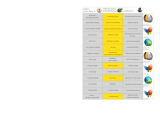 FISIKO                       PSIKOLOGIKO
SENSORIALA                   EMOZIONALA                      SOZIALA
      ukipenezko
                                  meditazio gunea            autodefentsa+konfiantza
   pertzepzioa eskola

   komunikazio teknika          ahozko komunikazioa              ekilibrio ariketak
                                                                                           HEZKUNTZA

 soinu naturalekin terapia   espazio erlajatzaile isolatua        dantza-terapia

                                                             psikoanalisis kontsultorioa
     aromaterapia                 ametsen terapia
                                                                    terrazan
                                                                                           TERAPIA

       laberintoa               gainkarga simulazioa           aire librean kanpaldia


  komunikazio praktikak                hipnosis                 negutegia/baratza          SIMULAZIO
                                                                                           SOZIALA

                                     egunerokoa
    makilaren erabilera                                       hizkuntza komunikazioa
                             hitzen bidezko adierazpena
                                     arnasketa
       txakur gida                                              kulturen ezagupena
                                    kantu klaseak
                                                                                           HEZKUNTZA

     animalia terapia              dantza-terapia                 taldeko terapia


       fisioterapia               terapia indibidula              animalia terapia
                                                                                           TERAPIA

     erosketak egitea                zita-etxea              eguneroko etxeko lanak


      hiri artifiziala                karaokea                egunkari irakurketa gunea    SIMULAZIO
                                                                                           SOZIALA

     musikoterapia                 animalia terapia            tunel ilunaren ariketa

         bainua                                                  laztantze gunea
                                    musikoterapia
  (landare medizinalak)                                         enpatia, maitasuna
                                                                                           TERAPIA
 
