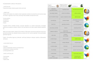 INDARKERIAREN AURKAKO PROGRAMA
                                                                                                              FISIKO                       PSIKOLOGIKO
_HARTZAILEAK                                                                                                  SENSORIALA                   EMOZIONALA                      SOZIALA
Emakumeen aurkako indarkeria jasaten duten pertsonak.
                                                                                                                    ukipenezko
                                                                                                                                                meditazio gunea            autodefentsa+konfiantza
                                                                                                                 pertzepzioa eskola

_ZERBITZUAK
                                                                                                                 komunikazio teknika          ahozko komunikazioa              ekilibrio ariketak
Gaitasun pertsonaleko eta sozialeko ereduen garapenak sustatzea eta autoestimua estimulatzea izango                                                                                                      HEZKUNTZA
dira helburu nagusienak. Eredu horiek ondorengo hauek bezalako kontzeptuak dituzte:
                                                                                                               soinu naturalekin terapia   espazio erlajatzaile isolatua        dantza-terapia
Autokontzeptua
Autoestimua                                                                                                                                     ametsen terapia
                                                                                                                                                                           psikoanalisis kontsultorioa
                                                                                                                   aromaterapia
Soziabilitatea                                                                                                                                                                    terrazan
                                                                                                                                                                                                         TERAPIA
Enpatia
                                                                                                                     laberintoa               gainkarga simulazioa           aire librean kanpaldia
Programak biktima erabakiak hatzeko prozesuan lagunduko du, arazoak konpontzeko estrategian
jabekuntzan eta gaitasun sozialetan trebatuz. Zentroak eskeiniko dion babes soziala bi atalentan sailkatzen
                                                                                                                komunikazio praktikak                hipnosis                 negutegia/baratza          SIMULAZIO
da:                                                                                                                                                                                                      SOZIALA

                                                                                                                                                   egunerokoa
Babes emozionala: enpatia, maitasuna eta konfiantza. Emakumearen segurtasuna areagotzea da da puntu               makilaren erabilera                                       hizkuntza komunikazioa
                                                                                                                                           hitzen bidezko adierazpena
garrantzitsuenetako bat, erabakiak hartzeko prozesuan eta tratu txarrek eragindako trauma psikologikoa
gainditzen lagunduz.                                                                                                                               arnasketa                  kulturen ezagupena
                                                                                                                     txakur gida
                                                                                                                                                  kantu klaseak
                                                                                                                                                                                                         HEZKUNTZA
Euskarri informatiboa (laguntza juridikorako zerbitzua): abokatuen elkargoen argibide juridikoetarako
zerbitzuak.                                                                                                        animalia terapia              dantza-terapia                 taldeko terapia


                                                                                                                     fisioterapia               terapia indibidula              animalia terapia
_NON? NOIZ? NOLA?                                                                                                                                                                                        TERAPIA

Ordutegia:                                                                                                         erosketak egitea                zita-etxea              eguneroko etxeko lanak
Gizarte larrialdietarako zerbitzua 24h (telefonoz)
Astelehenetik-Ostiralera 15.00-8.00                                                                                                                 karaokea
                                                                                                                    hiri artifiziala                                        egunkari irakurketa gunea    SIMULAZIO
Larunbat-Igandeetan 24h                                                                                                                                                                                  SOZIALA

_PARTE HARTZAILEAK                                                                                                 musikoterapia                 animalia terapia            tunel ilunaren ariketa

Orientatzailea                                                                                                         bainua                                                  laztantze gunea
                                                                                                                                                  musikoterapia
psikologoa                                                                                                      (landare medizinalak)                                         enpatia, maitasuna
                                                                                                                                                                                                         TERAPIA
Langile soziala
 