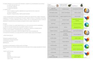 El modelo Minnesota es un programa de tratamiento comprensivo y multidisciplinario que enfatiza:
          El cuidado del lugar de la cura                                                                    FISIKO                       PSIKOLOGIKO
          El crecimiento espiritual                                                                          SENSORIALA                   EMOZIONALA                      SOZIALA
          La dignidad del individuo                                                                                ukipenezko
Los objetivos son:                                                                                                                             meditazio gunea            autodefentsa+konfiantza
                                                                                                                pertzepzioa eskola
          Tratar a la gente con químico-dependencia en lugar de encerrarlos o ignorarlos
          Tratarlos con dignidad                                                                                komunikazio teknika          ahozko komunikazioa              ekilibrio ariketak
          Ayudarlos recuperarse física, mental y espiritualmente                                                                                                                                        HEZKUNTZA


1.ofrece una espiritualidad inclusiva y flexible que es distinta y esta separada de la religión organizada    soinu naturalekin terapia   espazio erlajatzaile isolatua        dantza-terapia
2.defiende el tratamiento humanitario para los adictos, mejora el acceso al tratamiento y promueve
la abstinencia. La químico-dependencia debe ser tratada como una enfermedad primaria. 2 metas: la                                                                         psikoanalisis kontsultorioa
                                                                                                                  aromaterapia                 ametsen terapia
abstinencia total del alcohol y las drogas y la segunda la de una mejor calidad de vida.                                                                                         terrazan
                                                                                                                                                                                                        TERAPIA

Principios                                                                                                          laberintoa               gainkarga simulazioa           aire librean kanpaldia
La adicion es tratada como enfermedad primaria y no como consecuencia de otra enfermedad
La meta es la recuperación del adicto con cuidado continuo, no la cura                                         komunikazio praktikak                hipnosis                 negutegia/baratza          SIMULAZIO
Presenta un programa completamente didáctico que puede ser utilizado en cualquier persona                                                                                                               SOZIALA
Se utiliza un plan especifico e individualizado para cada paciente                                                                                egunerokoa
Los profesionales y los pacientes colaboran en definición del camino en recuperación                             makilaren erabilera                                       hizkuntza komunikazioa
                                                                                                                                          hitzen bidezko adierazpena
La recuperación se facilita con el apoyo del entorno: familia amigos y grupos de autoayuda
                                                                                                                                                  arnasketa                  kulturen ezagupena
                                                                                                                    txakur gida
_NOIZ? NON? NOLA?                                                                                                                                kantu klaseak
                                                                                                                                                                                                        HEZKUNTZA

28 eguneko programa (180 ordu)                                                                                    animalia terapia              dantza-terapia                 taldeko terapia
Astelehenetik-Ostiralera 8.00-20.00
Larunbatetan 8.00-13.00                                                                                             fisioterapia               terapia indibidula              animalia terapia
Igandeetan jai                                                                                                                                                                                          TERAPIA

90 eguneko programa (egoitza zerbitzua barne, barnetegia)                                                         erosketak egitea                zita-etxea              eguneroko etxeko lanak
*epe hau bikoiztu edo hirukoiztu daiteke eboluzioa kontuan izanik. Zentrua izango da erabaki hori hartuko
duena.                                                                                                             hiri artifiziala                karaokea                egunkari irakurketa gunea    SIMULAZIO
                                                                                                                                                                                                        SOZIALA
_PARTE HARTZAILEAK
        Medikua                                                                                                   musikoterapia                 animalia terapia            tunel ilunaren ariketa
        Psikiatra
        Psikologo                                                                                                     bainua                                                  laztantze gunea
                                                                                                                                                 musikoterapia
        Dependentzia kimikoko langilea                                                                         (landare medizinalak)                                         enpatia, maitasuna
                                                                                                                                                                                                        TERAPIA
        Langile soziala
 