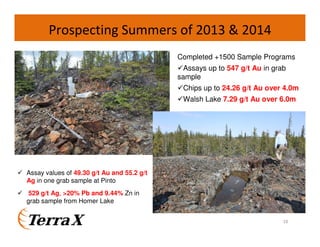 Prospecting Summers of 2013 & 2014
18
Completed +1500 Sample Programs
Assays up to 547 g/t Au in grab
sample
Chips up to 24.26 g/t Au over 4.0m
Walsh Lake 7.29 g/t Au over 6.0m
Assay values of 49.30 g/t Au and 55.2 g/t
Ag in one grab sample at Pinto
529 g/t Ag, >20% Pb and 9.44% Zn in
grab sample from Homer Lake
 