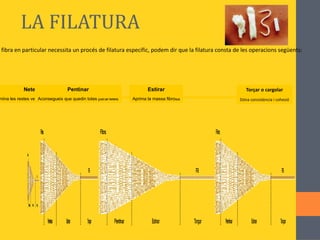 FIBRES NATURALS VEGETALS Bàsicament de  cel·lulosa LLAVORS cotó 