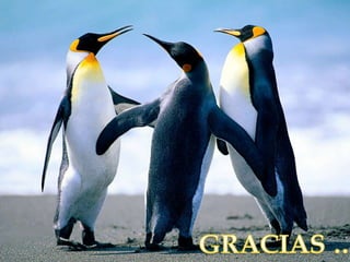 Tx transfucional   presentacion