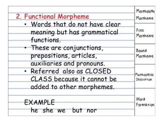 Morphology | PPTX