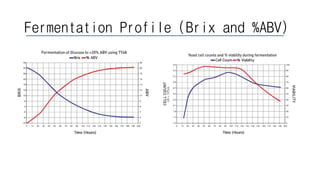 Fermentation Profile (Brix and %ABV)
 