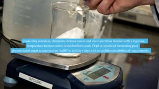 Containing complete, chemically defined macro and micro nutrition blended with a vigorous,
temperature tolerant active dried distillers yeast; TY48 is capable of fermenting pure
glucose-based sugar syrups such as ‘95DE’ to 20% in 7 days with no additional nutritional requirements.
 