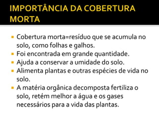  Cobertura morta=resíduo que se acumula no
solo, como folhas e galhos.
 Foi encontrada em grande quantidade.
 Ajuda a conservar a umidade do solo.
 Alimenta plantas e outras espécies de vida no
solo.
 A matéria orgânica decomposta fertiliza o
solo, retém melhor a água e os gases
necessários para a vida das plantas.
 