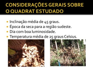  Inclinação média de 45 graus.
 Época da seca para a região sudeste.
 Dia com boa luminosidade.
 Temperatura média de 25 graus Celsius.
 