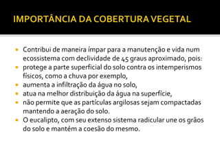 Contribui de maneira ímpar para a manutenção e vida num
ecossistema com declividade de 45 graus aproximado, pois:
 protege a parte superficial do solo contra os intemperismos
físicos, como a chuva por exemplo,
 aumenta a infiltração da água no solo,
 atua na melhor distribuição da água na superfície,
 não permite que as partículas argilosas sejam compactadas
mantendo a aeração do solo.
 O eucalipto, com seu extenso sistema radicular une os grãos
do solo e mantém a coesão do mesmo.
 