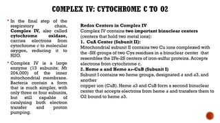 Components of Mitochondrial Electron Transport System | PPTX