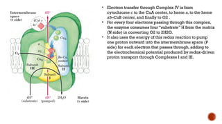 Components of Mitochondrial Electron Transport System | PPTX