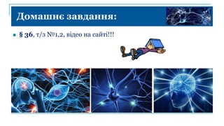 Домашнє завдання:
 § 36, т/з №1,2, відео на сайті!!!
 