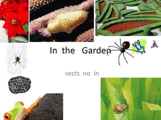 In  the   Garden   sects  no  in  