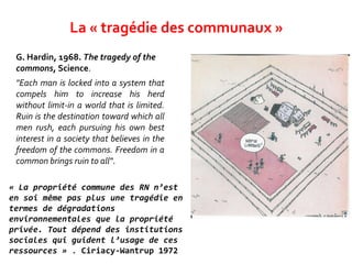 G. Hardin, 1968. The tragedy of the
commons, Science.
"Each man is locked into a system that
compels him to increase his herd
without limit-in a world that is limited.
Ruin is the destination toward which all
men rush, each pursuing his own best
interest in a society that believes in the
freedom of the commons. Freedom in a
common brings ruin to all".
« La propriété commune des RN n’est
en soi même pas plus une tragédie en
termes de dégradations
environnementales que la propriété
privée. Tout dépend des institutions
sociales qui guident l’usage de ces
ressources » . Ciriacy-Wantrup 1972
La « tragédie des communaux » »
 
