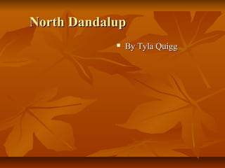 North DandalupNorth Dandalup
 By Tyla QuiggBy Tyla Quigg
 
