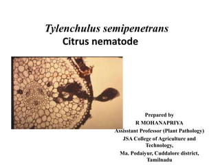 Tylenchulus semipenetrans
Citrus nematode
Prepared by
R MOHANAPRIYA
Assisstant Professor (Plant Pathology)
JSA College of Agriculture and
Technology,
Ma. Podaiyur, Cuddalore district,
Tamilnadu
 