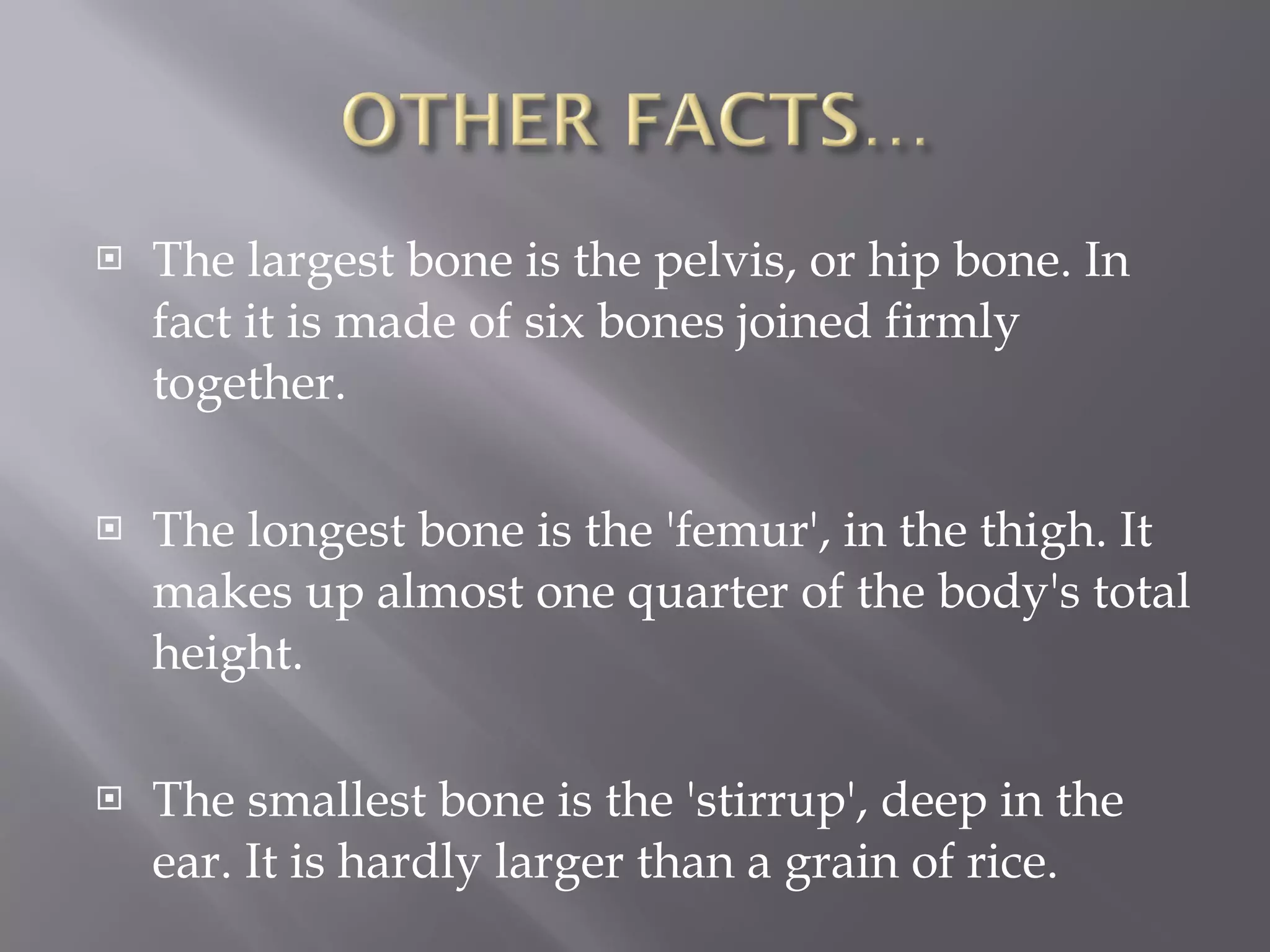 The largest bone is the pelvis, or hip bone. In fact it is made of six bones joined firmly together. The longest bone is the 'femur', in the thigh. It makes up almost one quarter of the body's total height. The smallest bone is the 'stirrup', deep in the ear. It is hardly larger than a grain of rice. 
