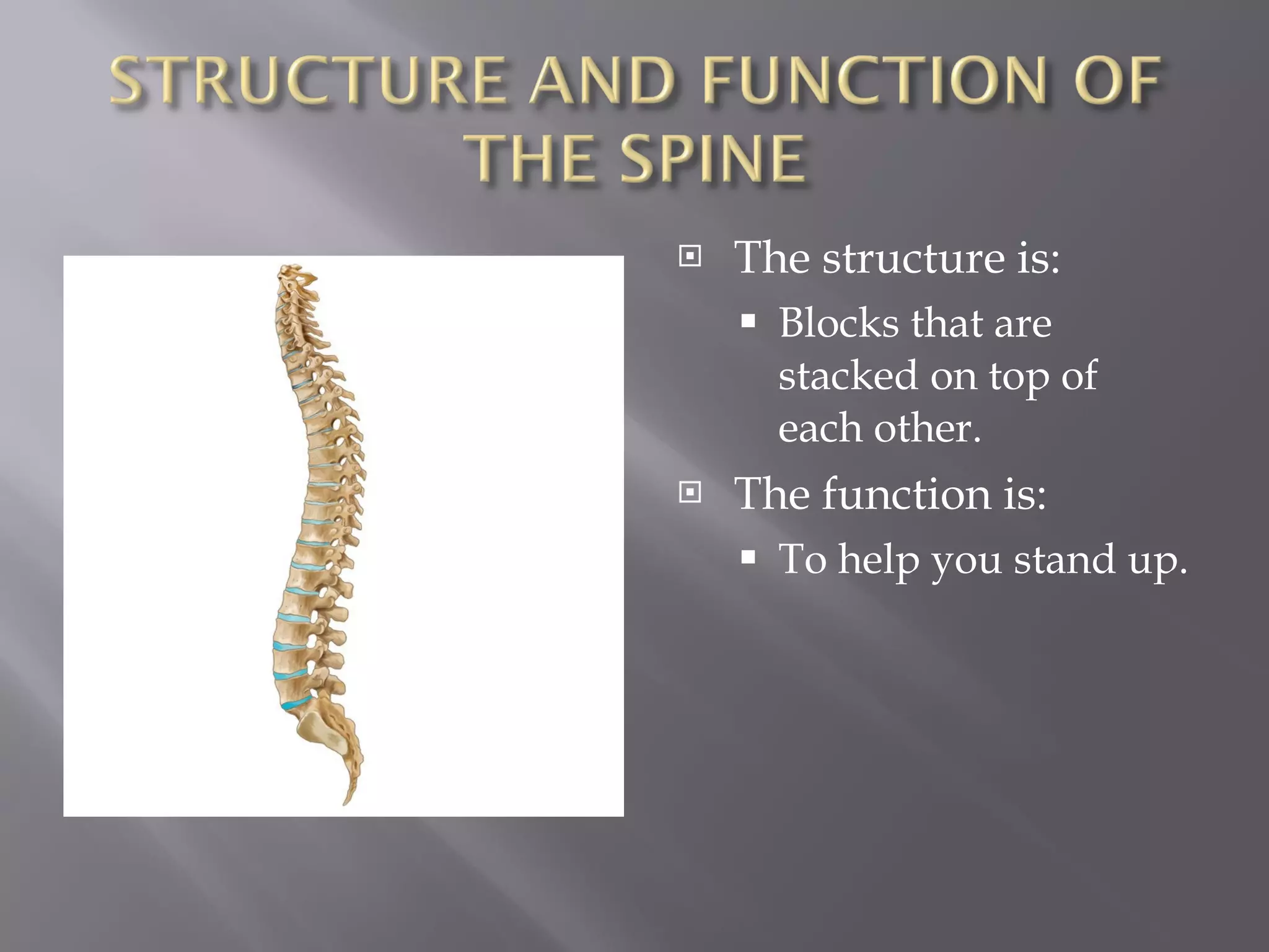 The structure is: Blocks that are stacked on top of each other. The function is: To help you stand up. 