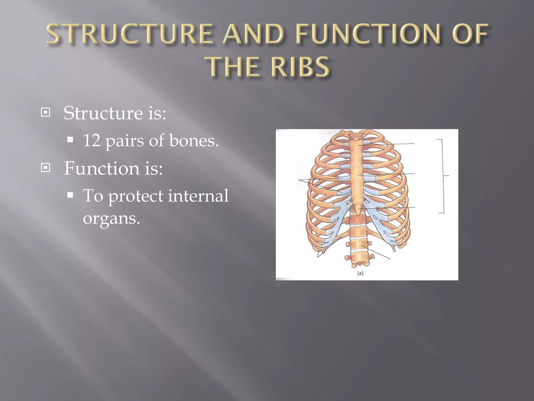Structure is: 12 pairs of bones. Function is: To protect internal organs. 