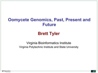Oomycete Genomics, Past, Present and Future Brett Tyler Virginia Bioinformatics Institute Virginia Polytechnic Institute and State University 