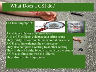    What Does a CSI do? CSI take fingerprints   A CSItakes photos at a crime scene Also a CSI collects evidence at a crime scene They testify in court toclaime who did the crime A CSI also investigates the crime scene They also compare a writing to another writing They finds out he/she blood spatter is on the ground.   A CSI alsofindsoutwho the killer is They also maintain equipment. 