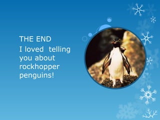 THE END I loved  telling  you about  rockhopper penguins! 